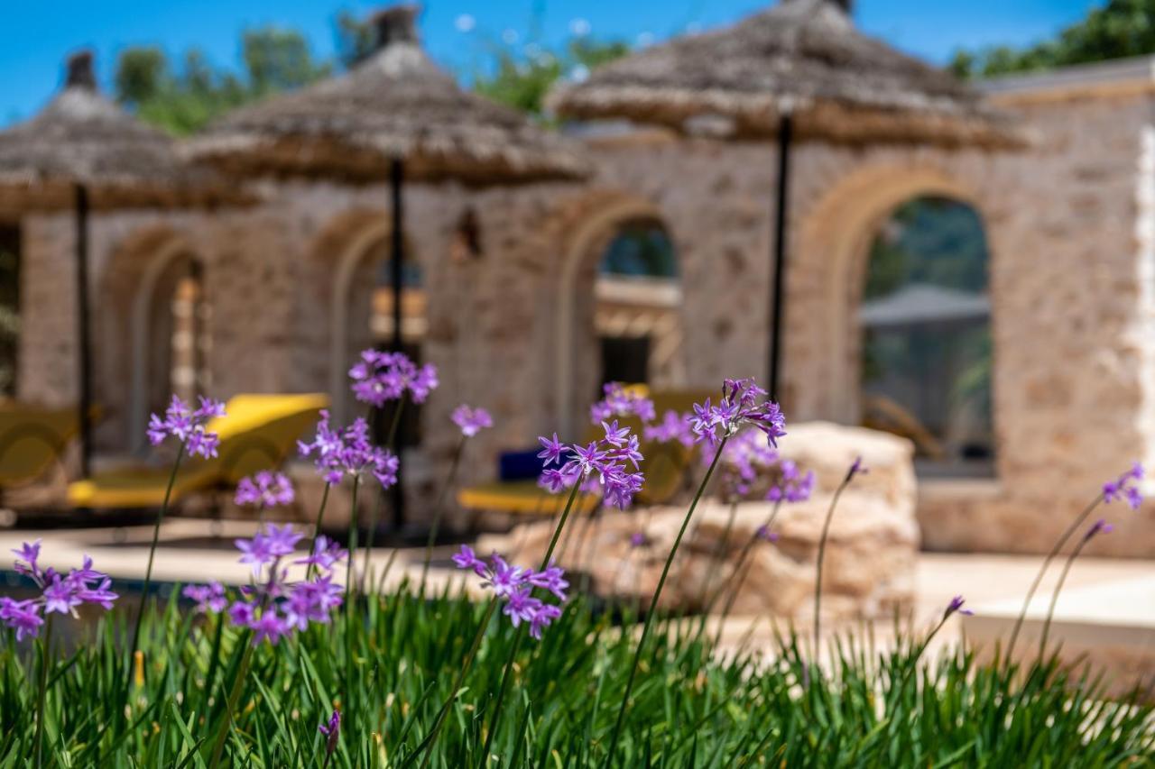 Absolu Beldi Essaouira Bed & Breakfast エクステリア 写真